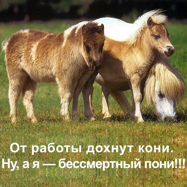 Гафар Аминев