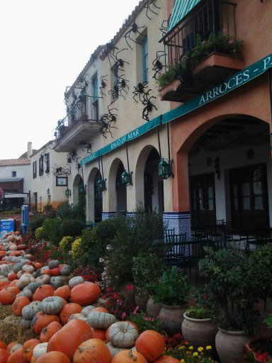 Ольга Гаврилова