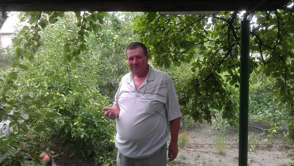 Andrei Pierieviertai