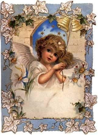 Абигайль Буш