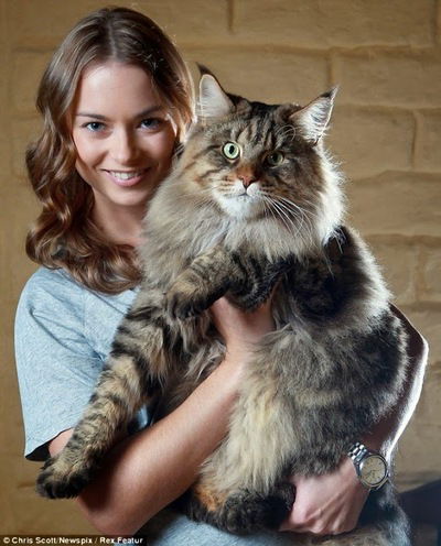 Ирина Силантьева