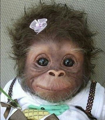 Алина Бурнаевская