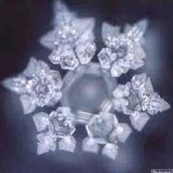 Светлана Мушкадинова