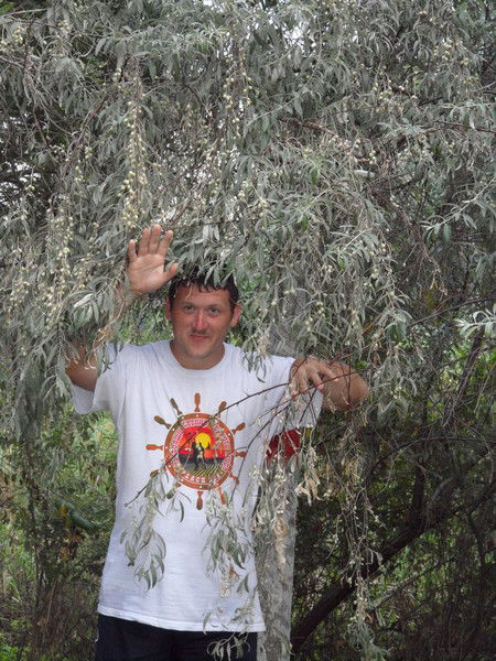 Александр Крылов