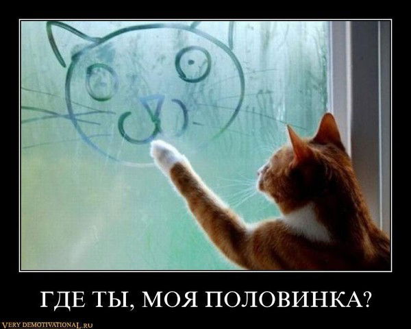 Тойлыбай Аманкулов