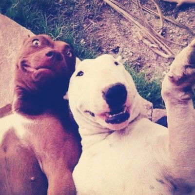 Анастасия Ужегова