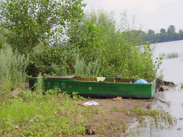 Гульшат Рахимова