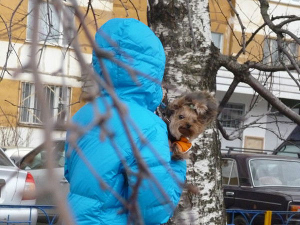 Вика Клевер