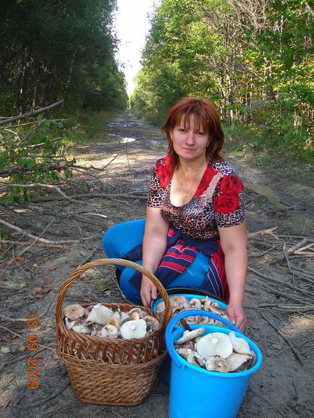 Елена Майорова