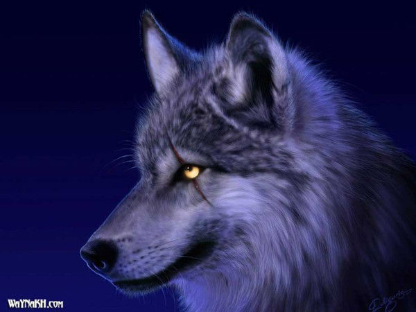 Макс Иваненко