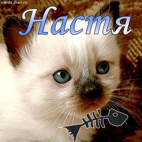 Настя Михайлова