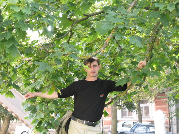 Александр Зульфикаров