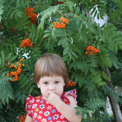 Любовь Подгородова