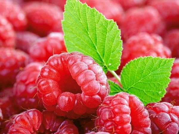 Екатерина Сычева