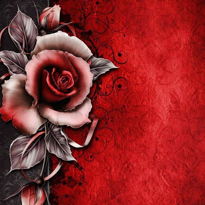 Инеш Аубакирова