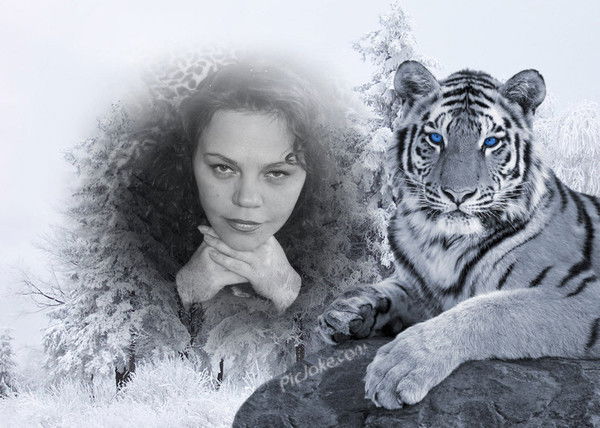 Светлана Светик