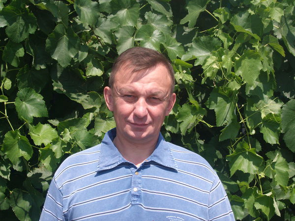 Михаил Боеску