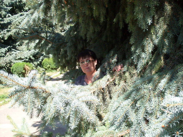 Романовская Елена