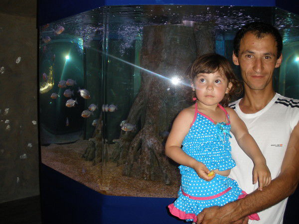 Валерий Степанов