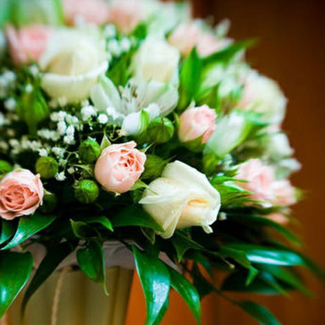 Катерина Золотарева