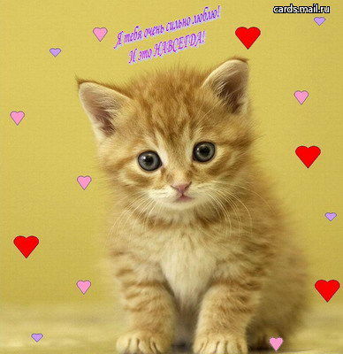 Светлана Шиманович