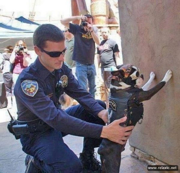 Ерлан Кизатов