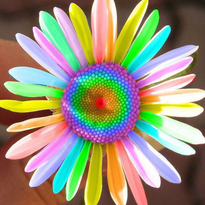 Дарья Башкирова