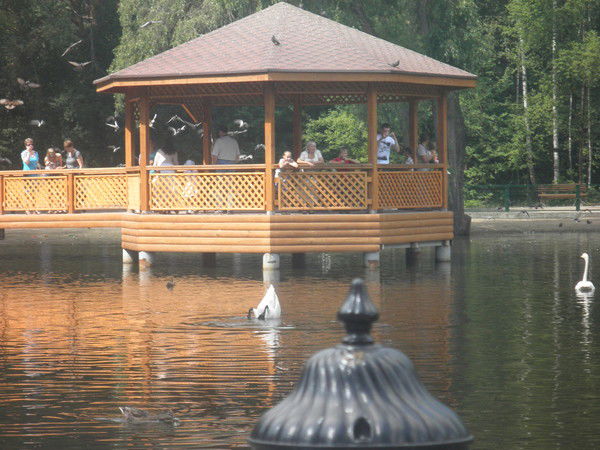 Дильфуза Абдрaхимовa