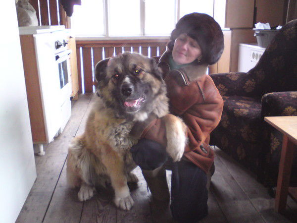 Елена Голубева