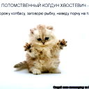 Ольга :)