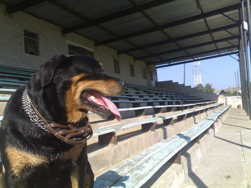 Неизвестно Неизвестно