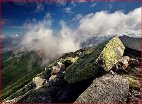 Петров Виктор