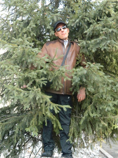 Андрей Данилов