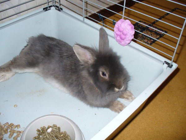 Гульнара Юсупова