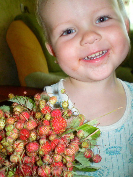 Вячеслав Дыров