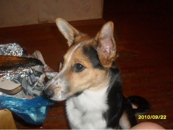 Альберт Суендиков