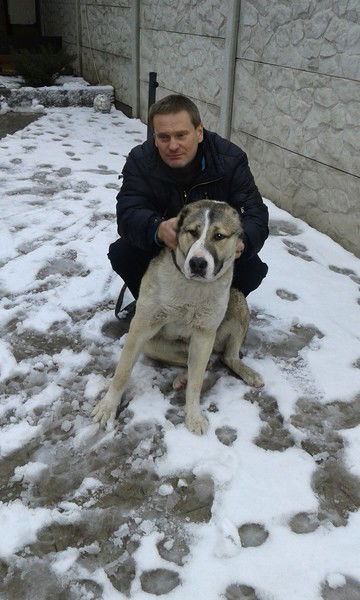 Андрей Голев