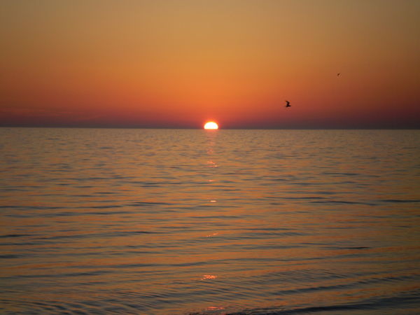 Алия Бакырбаева