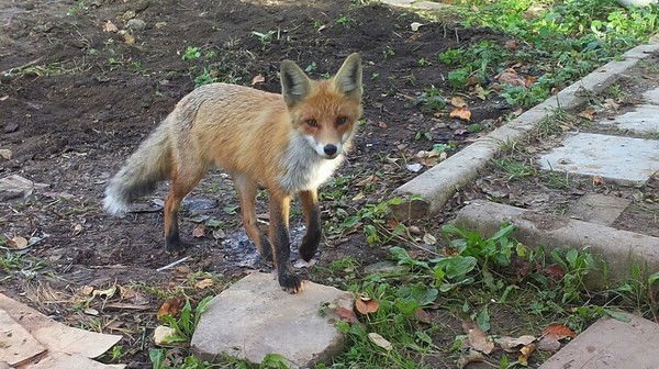 Юля Безчётнова