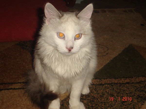 Карина Васильева