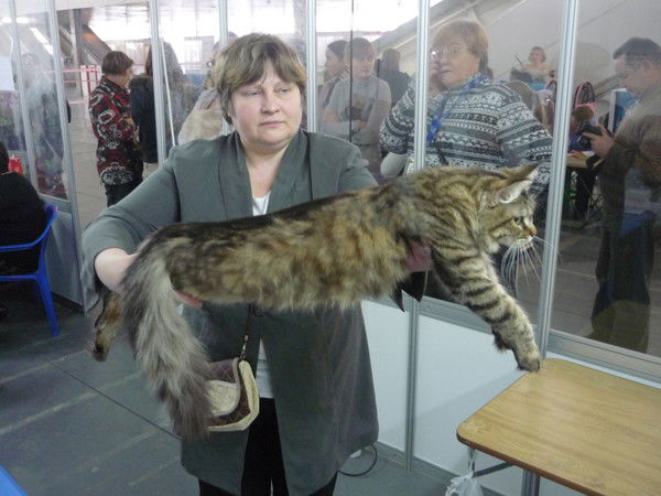 Ирина Протопопова