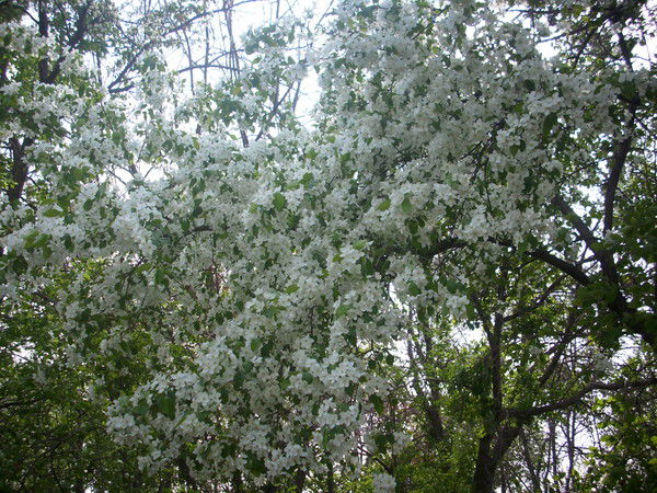 Айгуль Тагирова