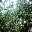 Айгуль Тагирова