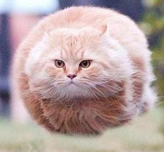 Станислав Александров