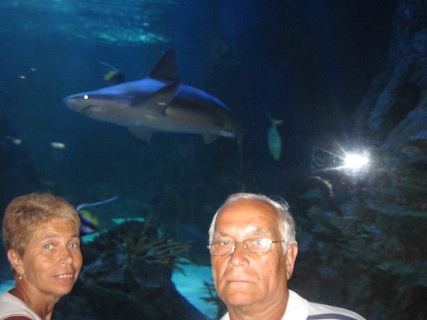 Валерий Пресняков