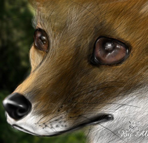 Елена Токарь