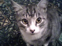 Марина Петракова