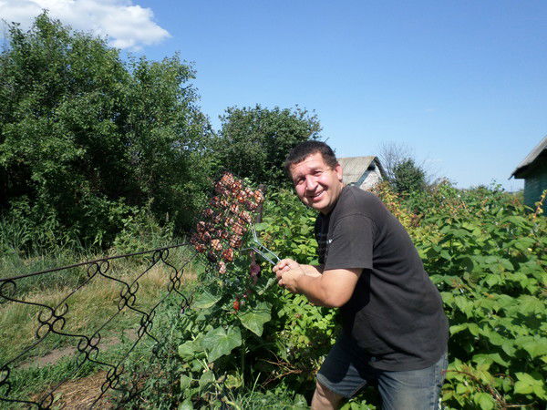 Дмитрий Горбунов