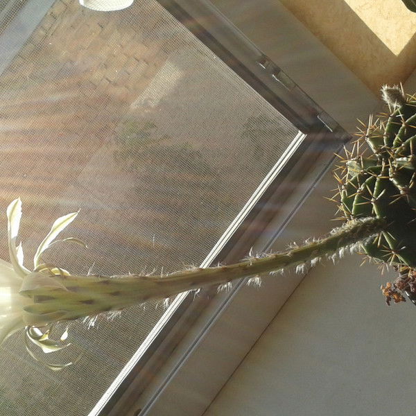 Татьяна Ким