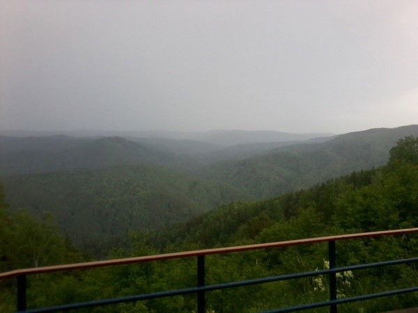 Владимир Суханов